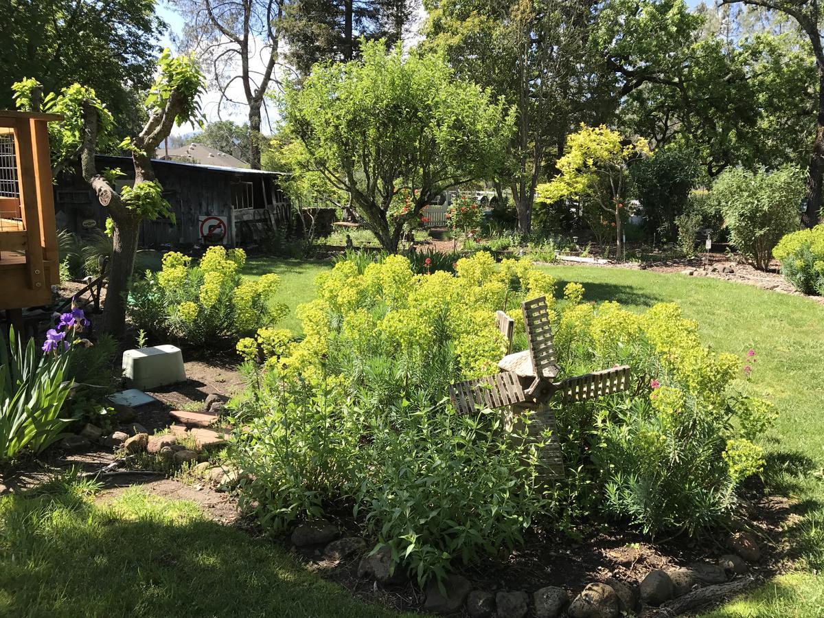 Trailside Inn Bed And Breakfast Calistoga Exterior photo